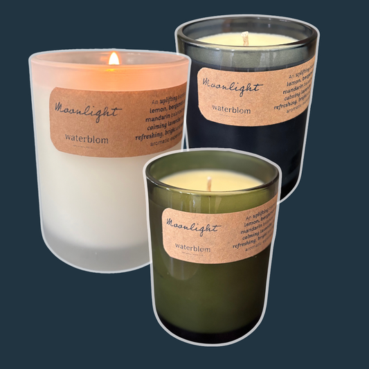 Scented Soy Wax Candles